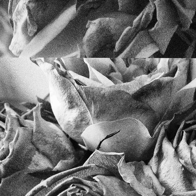 WOLFEP016&nbsp; is out now